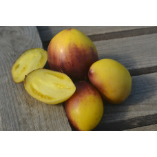 Томат Блюз на блюде Томат Блюз на блюде