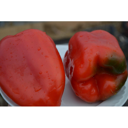 Купить семена перца сладкого Червен пиппер-частный питомник Наш сад