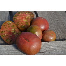 Томат Гном Дикий Фред Томат Гном Дикий Фред