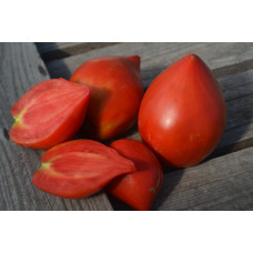 Томат Фатер Рейн Томат Фатер Рейн