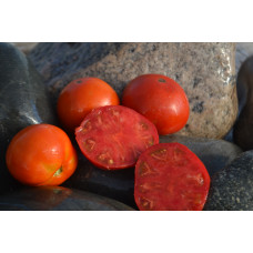 Томат Гном Бабл гам Томат Гном Бабл гам