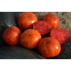 Томат Гном Большой тигр чероки(Cherokee Tiger Large) Томат Гном Большой тигр чероки(Cherokee Tiger Large)