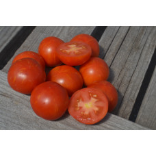 Томат Гном Брэд Гейтс Томат Гном Брэд Гейтс