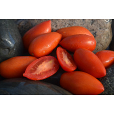 Томат Гном Глаз лисы Томат Гном Глаз лисы