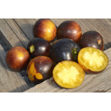 Томат Гном Гондвана луна(Dwarf Gondwana Moon) Томат Гном Гондвана луна(Dwarf Gondwana Moon)