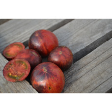 Томат Гном Гондвана молния(Dwarf Gondwana Lightning) Томат Гном Гондвана молния(Dwarf Gondwana Lightning)