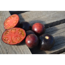 Томат Гном Гондвана роза Dwarf Gondwana Rose Томат Гном Гондвана роза Dwarf Gondwana Rose