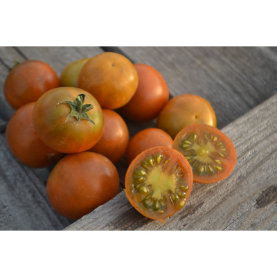 Томат Гном Патч для души(Dwarf Soul Patch) Томат Гном Патч для души(Dwarf Soul Patch)