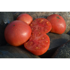 Томат Гном Розовый тяжеловес(Giant Dwarf Rosella)
