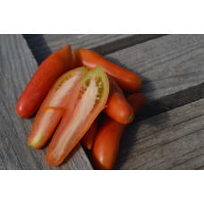 Томат Гном Стрелка Томат Гном Стрелка