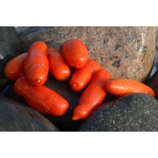 Томат Весёлый гном Томат Весёлый гном