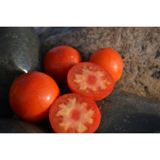 Томат Гном Викторианский (Victorian Dwarf) Томат Гном Викторианский (Victorian Dwarf)