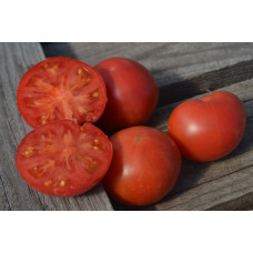 Томат Гном Вкусное вино(Dwarf Tasty Wine) Томат Гном Вкусное вино(Dwarf Tasty Wine)