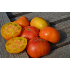 Томат Гном Завиток удачи(Dwarf Lucky Swirl) Томат Гном Завиток удачи(Dwarf Lucky Swirl)