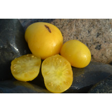 Томат Гном Жёлтый Египет(Dwarf Egypt Yellow) Томат Гном Жёлтый Египет(Dwarf Egypt Yellow)