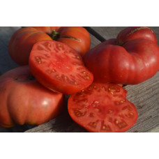 Томат Литовские Томат Литовские