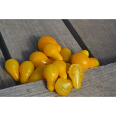 Томат Медовая капля