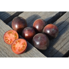 Томат Мохнатая Кейт красная