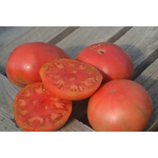 Томат Алма-атинский розовый домашний Томат Алма-атинский розовый домашний