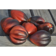 Томат Бронзовые носики сержанта Пеппера Томат Бронзовые носики сержанта Пеппера