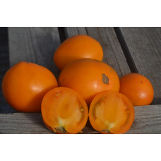 Томат Булгария Томат Булгария