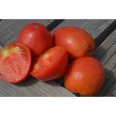 Томат Бычок розовый Томат Бычок розовый