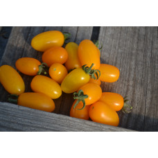 Томат Даттерини жёлтый Томат Даттерини жёлтый