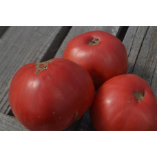 Томат Фокусник Томат Фокусник
