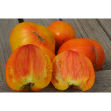 Томат Фред Томат Фред