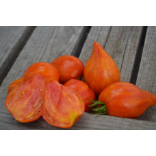 Томат Искушение Томат Искушение