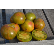 Томат Ярсон 16 Томат Ярсон 16