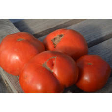 Томат Красный ангел