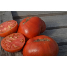 Томат Красный комар