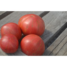 Томат Красный литий