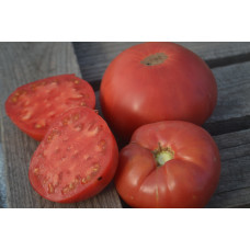 Томат Красота Гэри