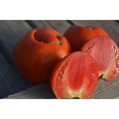 Томат Кумбель Томат Кумбель