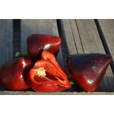 Перец сладкий Леся пурпурная Перец сладкий Леся пурпурная