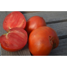 Томат Лёвушка Томат Лёвушка