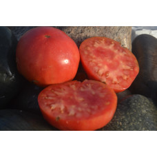 Томат Минусинский безразмерный