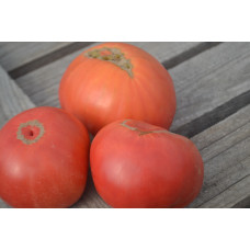 Томат Могучее вымя