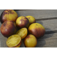 Томат Мотли маус