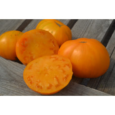 Томат Огненный поцелуй оранжевый