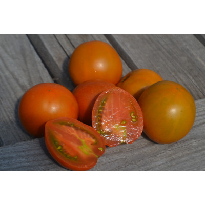 Томат Осенний марафон Томат Осенний марафон