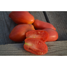 Томат Солоха