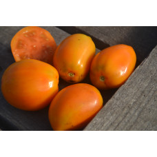 Томат Старинная хурма