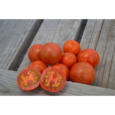 Томат Тигрёнок Томат Тигрёнок