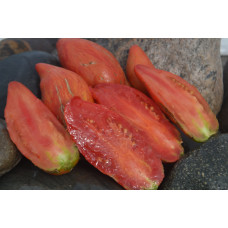 Томат Тюльпан Томат Тюльпан