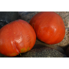 Томат Веркины Томат Веркины