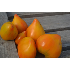 Томат Волшебные шляпы тётушки Гретель Томат Волшебные шляпы тётушки Гретель