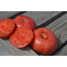 Томат ВЗИ Кейли пинк Томат ВЗИ Кейли пинк